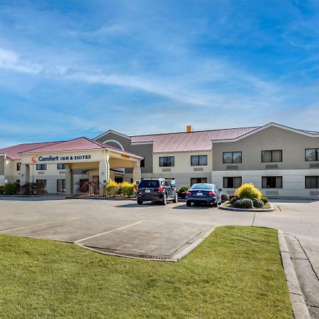Comfort Inn & Suites Leeds I-20 Zewnętrze zdjęcie