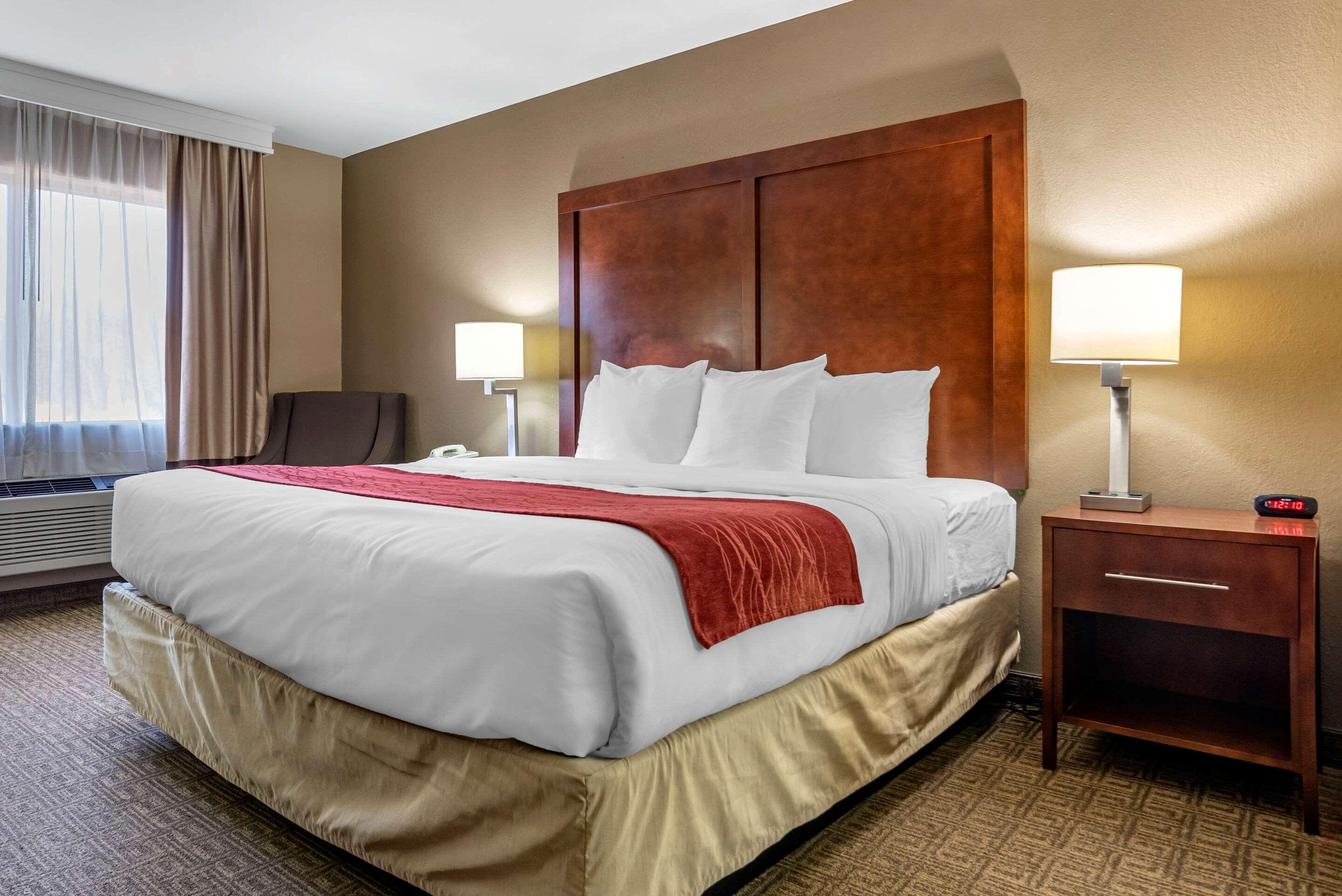 Comfort Inn & Suites Leeds I-20 Zewnętrze zdjęcie